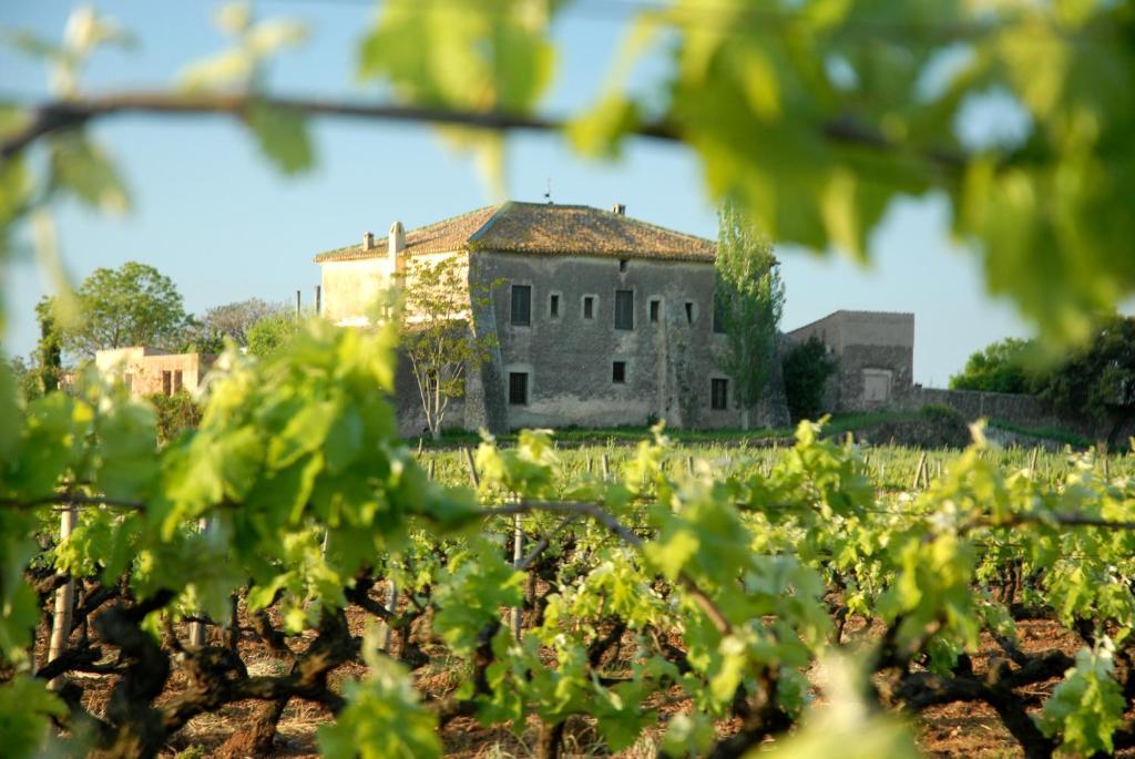 Готель Mas Castell De Gimenelles Sant Jaume dels Domenys Екстер'єр фото