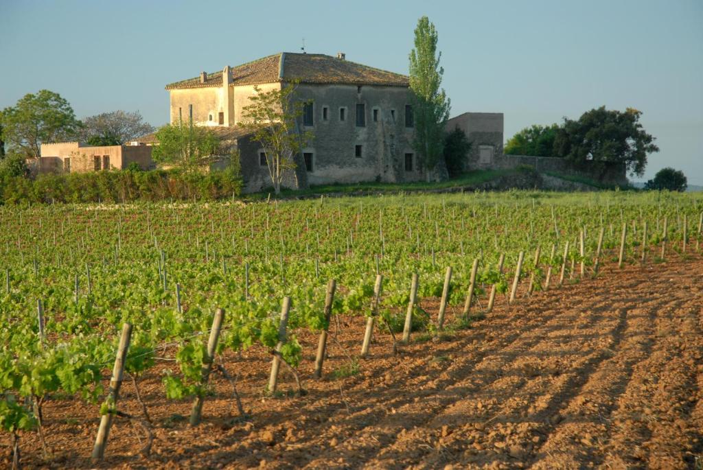 Готель Mas Castell De Gimenelles Sant Jaume dels Domenys Екстер'єр фото